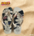 Chinelo Adulto Havaianas Naruto