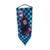 Bandeira Demon Slayer