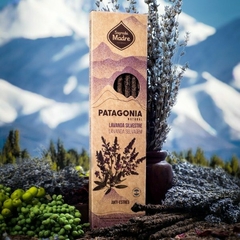 LINEA PATAGONIA en internet