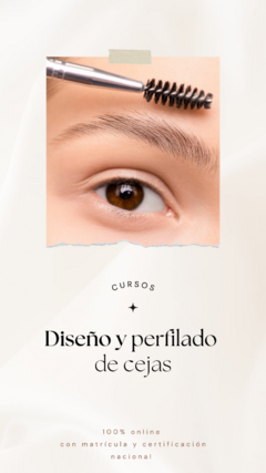 CURSO DISEÑO Y PERFILADO DE CEJAS