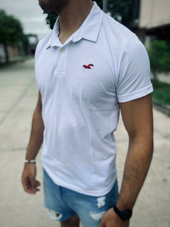 Chomba Hollister