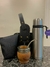 Combo Imperial algarrobo 10% off - comprar online