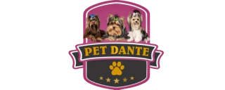 Pet Dante