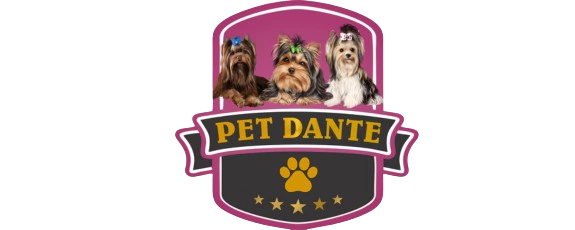 Pet Dante