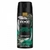 AXE GREEN GERANIUM DESODORANTE EN AEROSOL 150ml