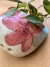 Macetas colgantes Plumeria con Potus Brasilero - comprar online