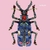 Broche Big Beetle