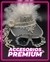 Set Novia Premium "Visera + Anteojos"