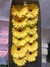 Caja de Gerbera en internet
