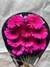 Gerbera Raqueta en internet