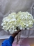 Hortencia - Floraled