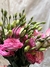 Lisianthus - tienda en línea