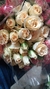 Mini Rosa en internet