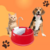 Fonte vermelho Joy Caes e Gatos Bivolt - comprar online