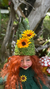 Duende na internet