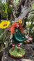 Duende