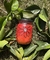 Vidro personalizado - Floral - comprar online