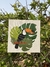 Quadro Tucano Tropical - 20x20cm - comprar online