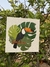 Quadro Tucano Tropical - 20x20cm - Explore_Li