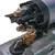 Motor de Partida Compatível John Deere - RE526375 - comprar online