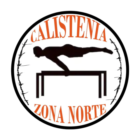 Calistenia Zona Norte