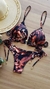 Conjunto Marrom (Biquíni + Chemise) na internet
