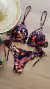 Conjunto Marrom (Biquíni + Chemise) na internet