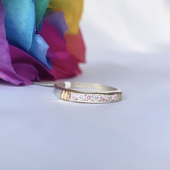 Anillo Medio Sin Fin en internet