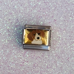 Charms - PI - Perro en internet