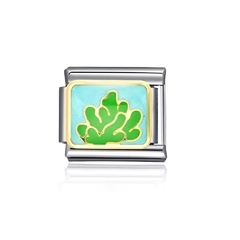 Charms - PI - Alga