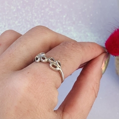 Anillo en internet