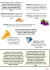 208 - Combo Apostilas ADAPTADAS - 6º, 7º, 8º e 9º ano! - Geografia e Cia - Materiais Criativos