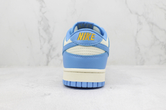 NIKE DUNK BLUE na internet