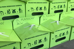 Marca 17 de PUNTOCAN