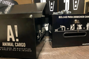 Marca 10 de PUNTOCAN