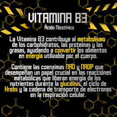 PRE ENTRENO en internet