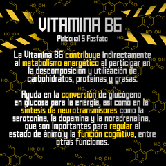PRE ENTRENO - comprar online