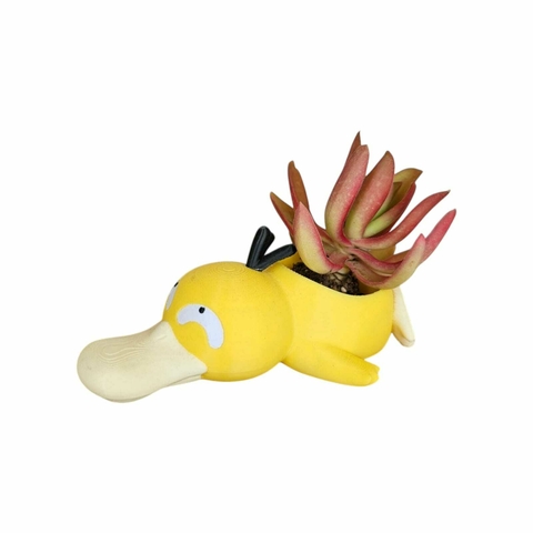 Psyduck vasinho