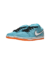 Nike SB dunk 58 gulf