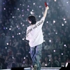 Camiseta Seventeen Follow the Light Tour