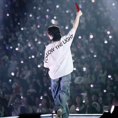 Camiseta Seventeen Follow the Light Tour
