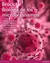 Brock Biologia De Los Microorganismos 14 Ed - comprar en línea