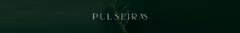 Banner da categoria Pulseiras