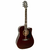 Violão Eletroacústico Giannini Performance GF-1D CEQ Aço Translucent Dark Wine