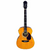 Violão Eletroacústico Giannini Performance Plus Aço GAD Plus EQ NG