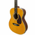 Violão Eletroacústico Giannini Performance Plus Aço GAD Plus EQ NG - A-B-X Music Store