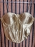 Corselet - Closet Delas