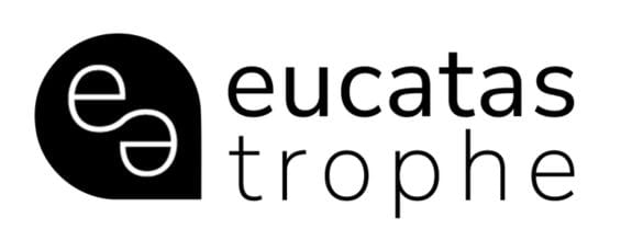 Eucatastrophe