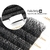 XIUSUZAKI-W 5D - Curvarura M - comprar online