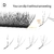XIUSUZAKI-W 5D - Curvarura M - Big Lash Loja